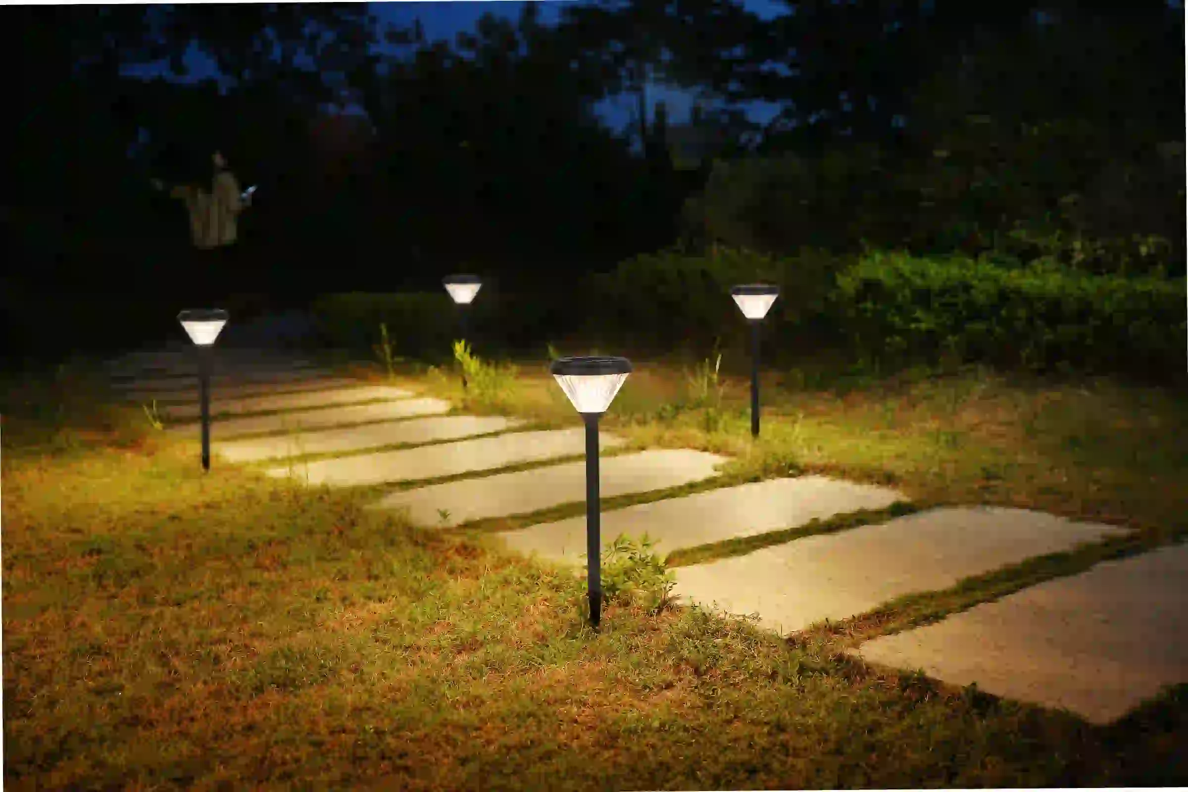CPD-0804 solar lights lining a landscaped area