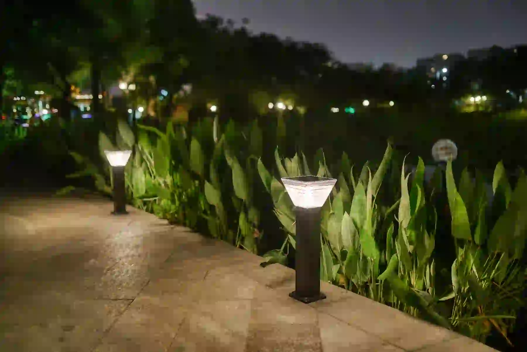 CPD-5004 solar lights along a garden path