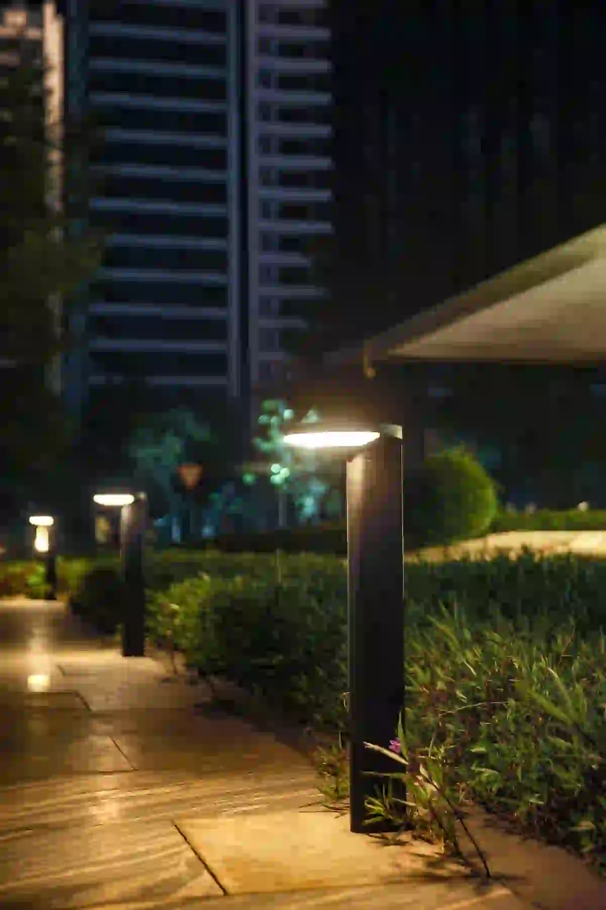 CPD-8804 solar lights along a garden path