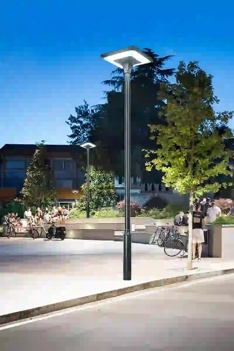 TYD-2505 solar light in a planted garden bed