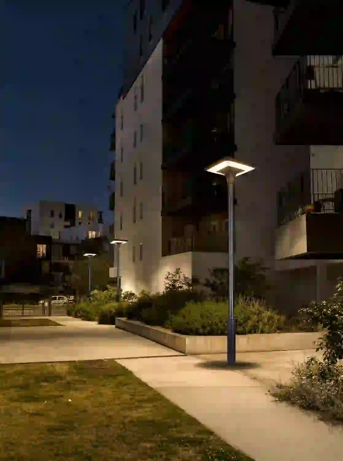 TYD-2505 solar lights along a garden path