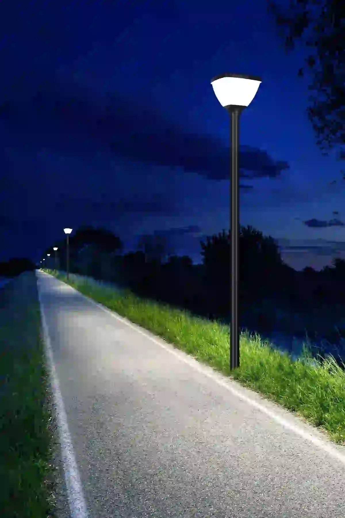 TYD-2508 solar lights along a garden path
