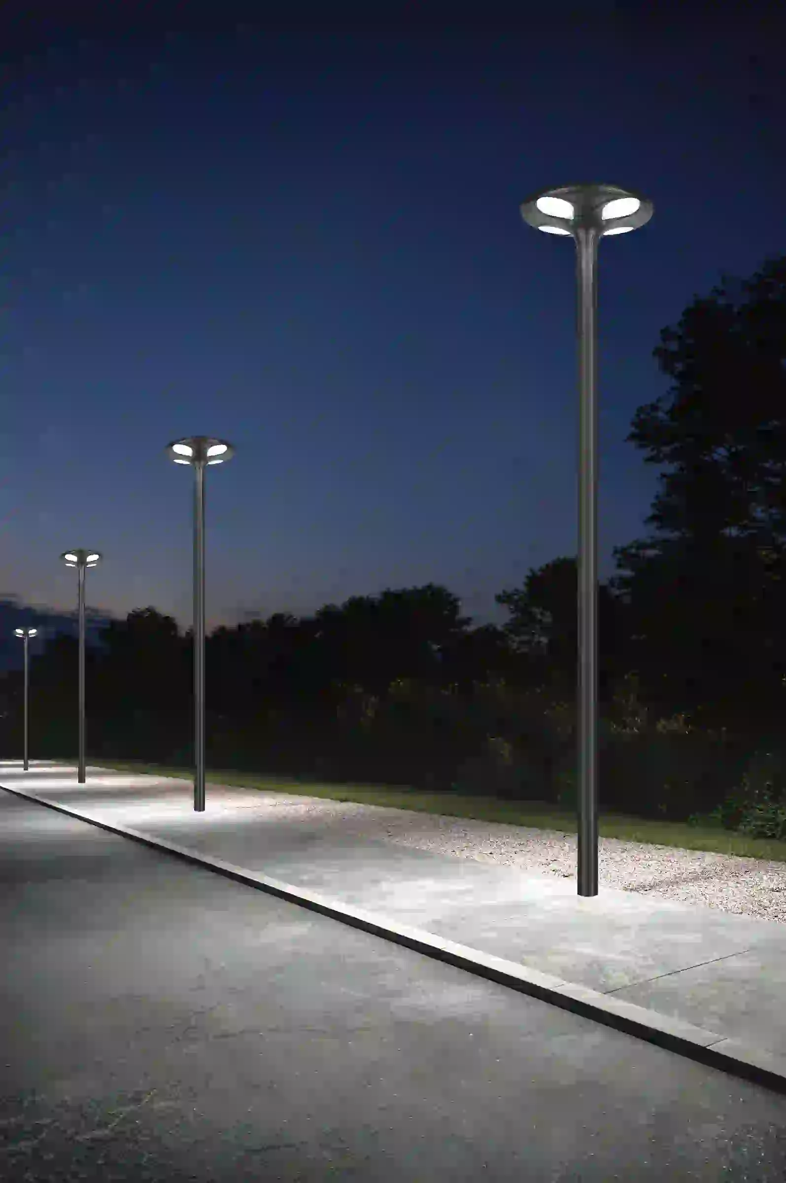 TYD-2806 solar lights lining a landscaped area