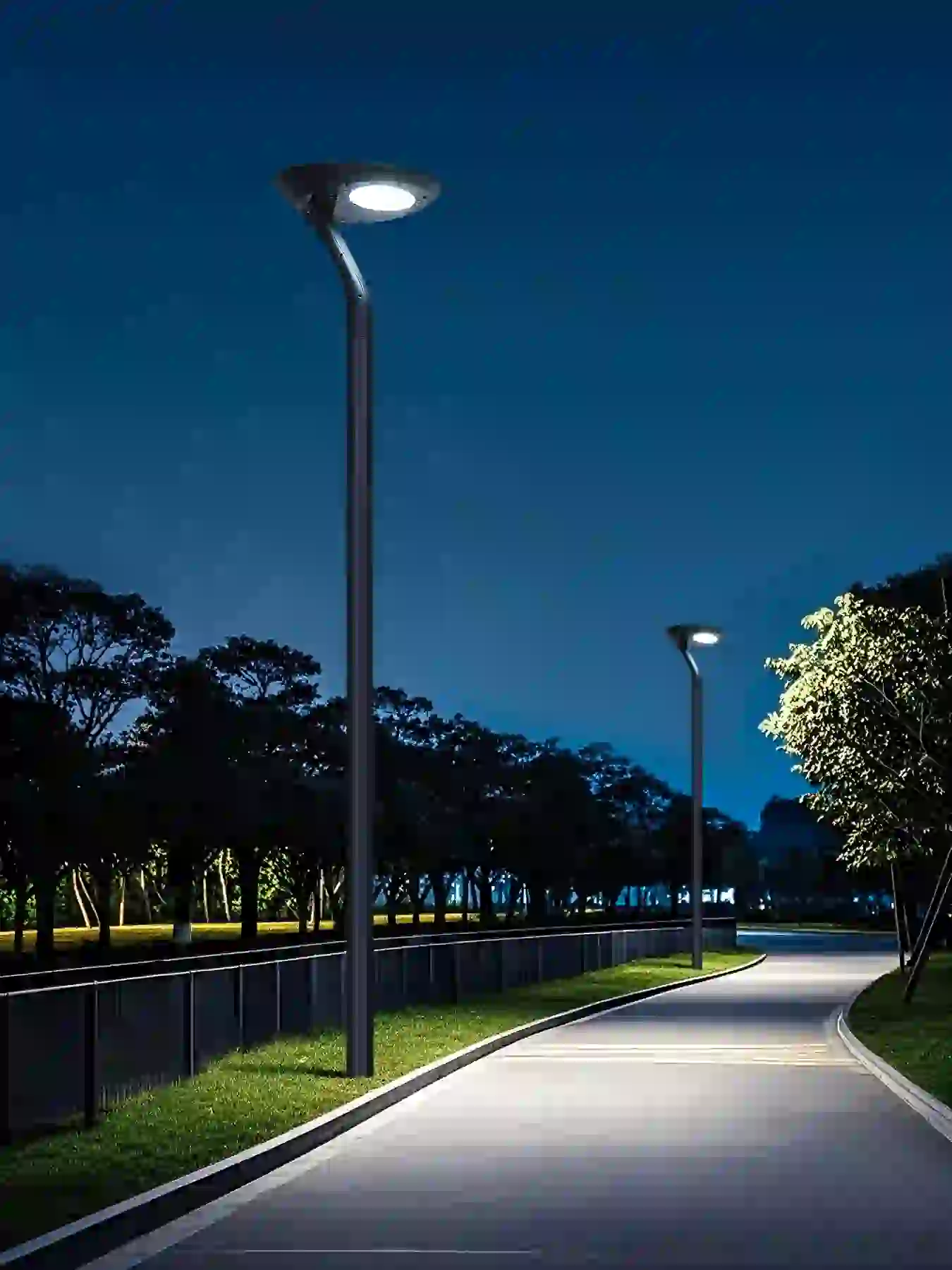 TYD-4206 solar light in a planted garden bed