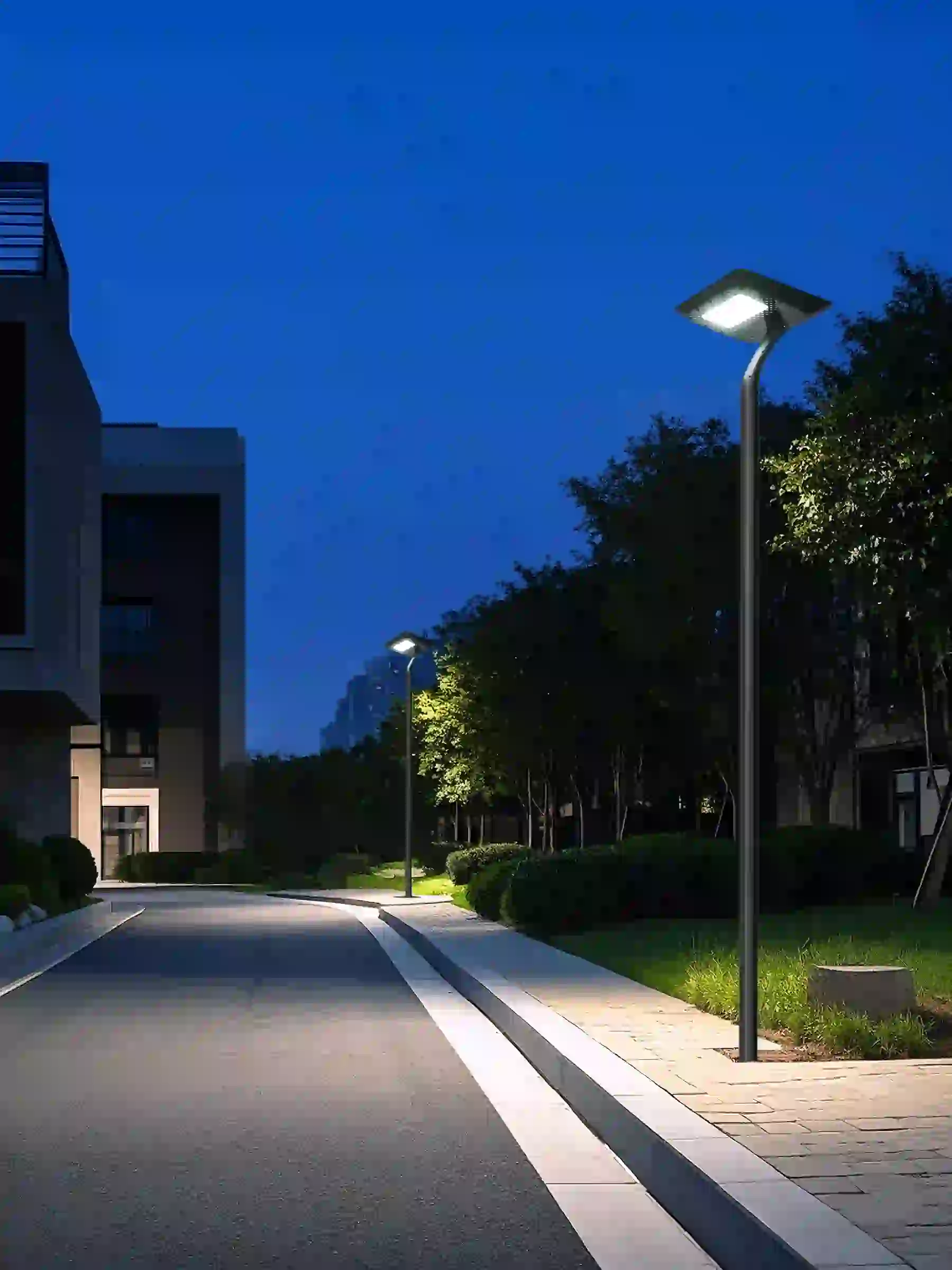 TYD-4208 solar lights lining a landscaped area