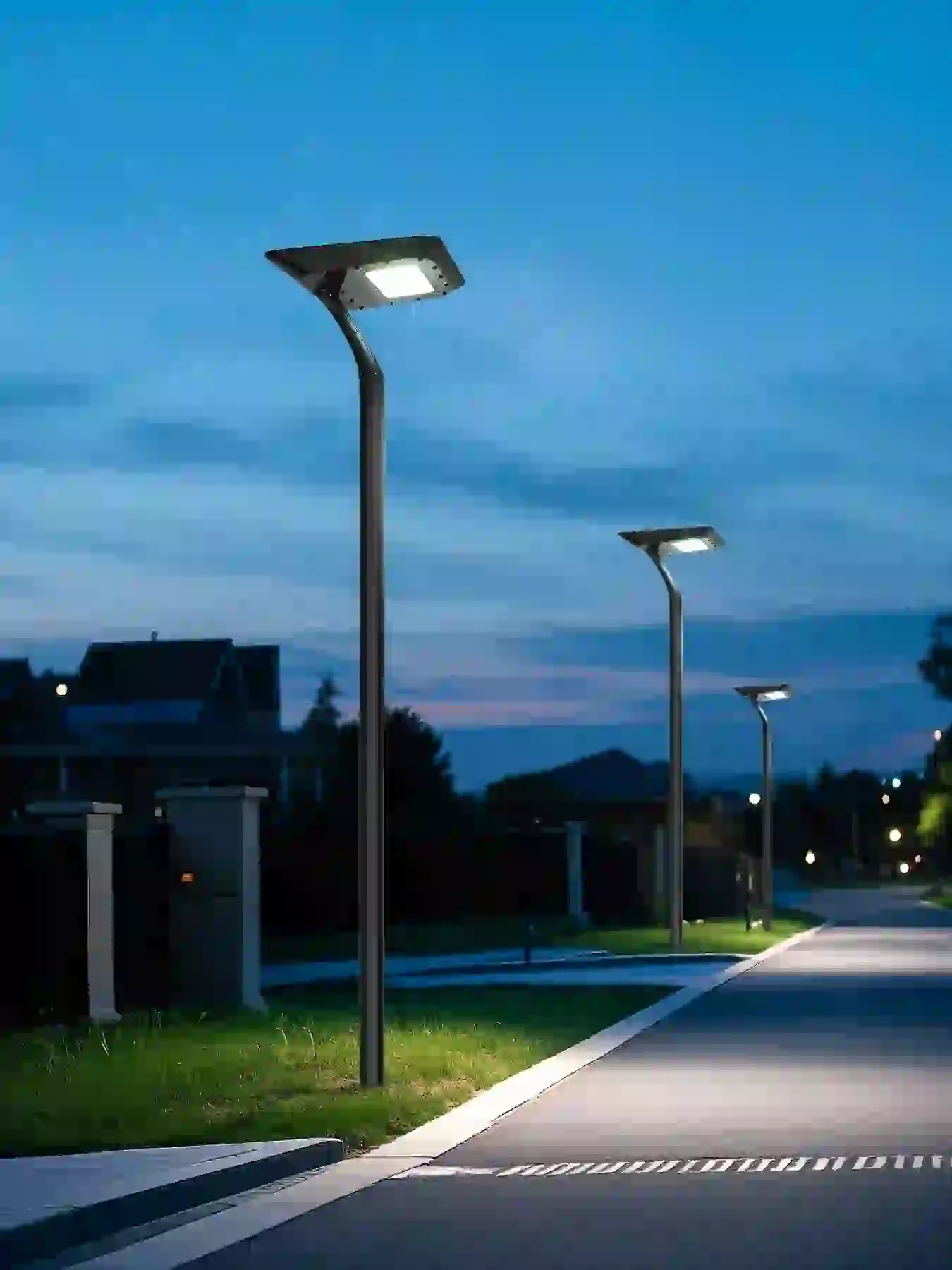 TYD-4208 solar light in a planted garden bed