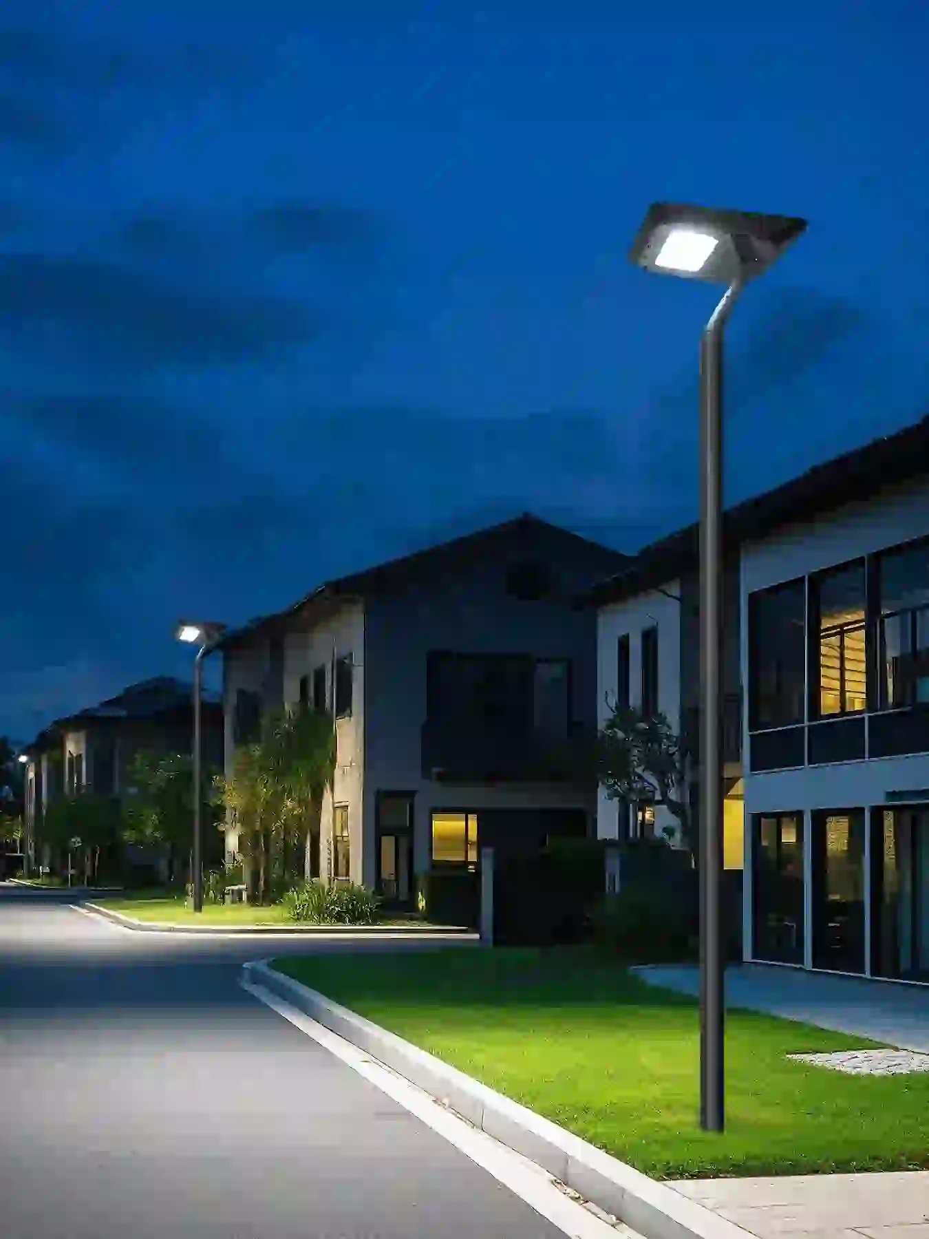 TYD-4208 solar lights along a garden path