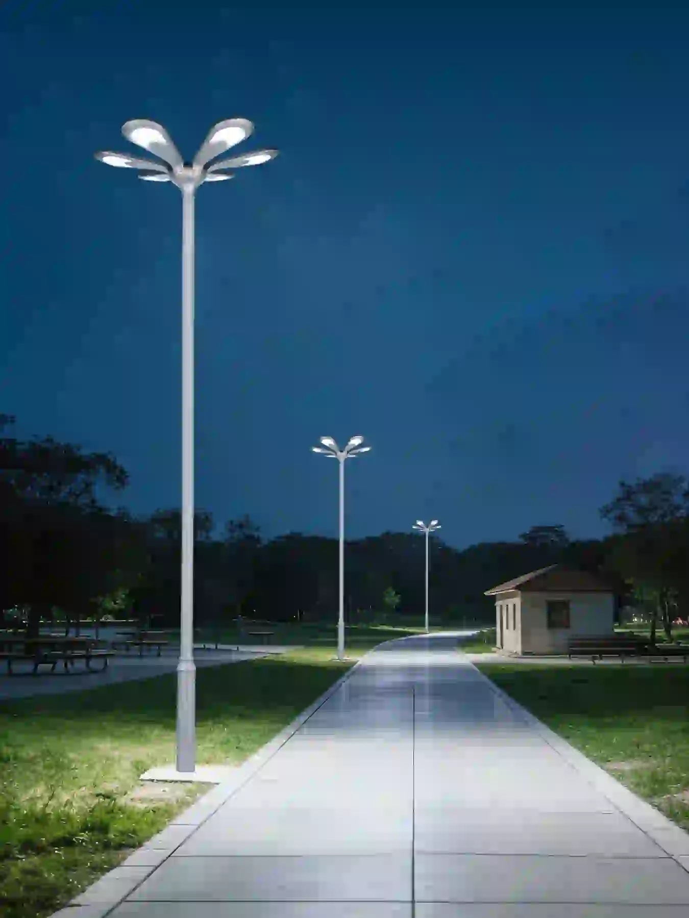 TYD-5105 solar light in a planted garden bed